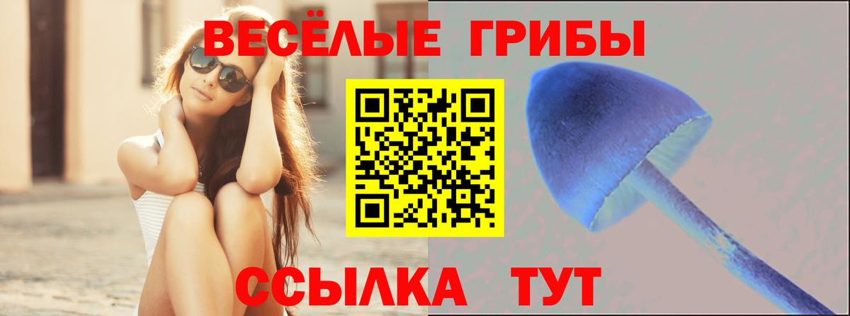 Псилоцибиновые грибы Cubensis  Вход с VPN  Канаш 